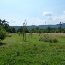 Ausgleichsflächen-1